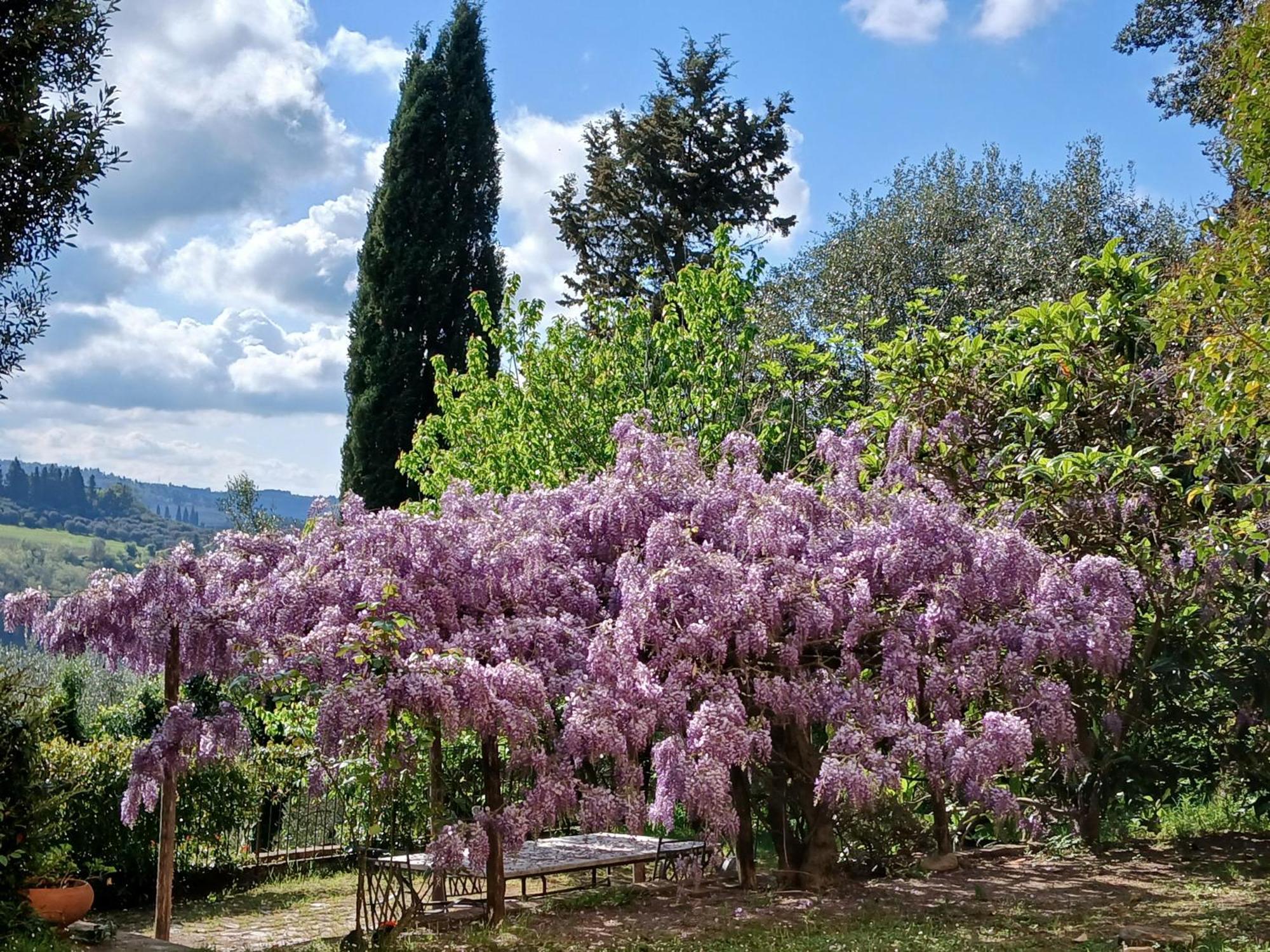 Agriturismo Villa Gorgognano Certaldo Extérieur photo